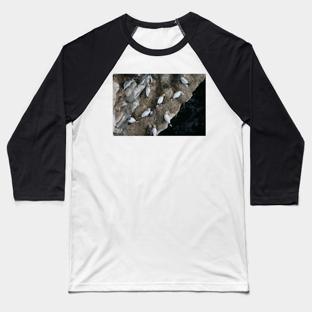 Nests Baseball T-Shirt by orcadia